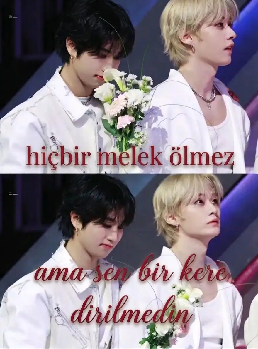 Hiçbir melek ölmez ama sen bir kere dirilmedin kitap kapağı