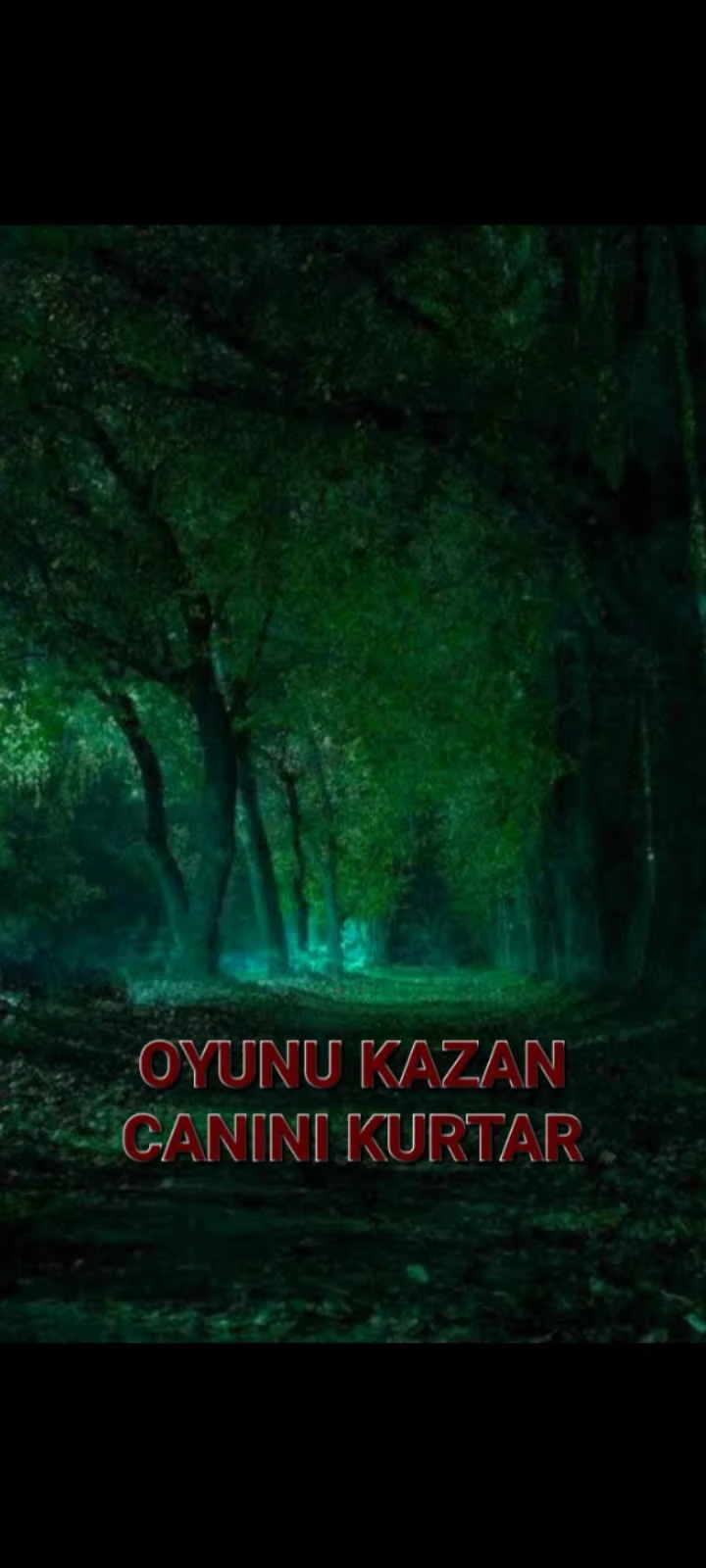 OYUNU KAZAN CANINI KURTAZ kitap kapağı