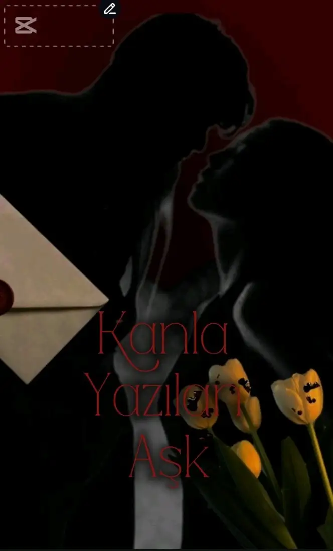 Kanla Yazılan Aşk kitap kapağı