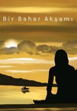 BİR BAHAR AKŞAMI kitap kapağı