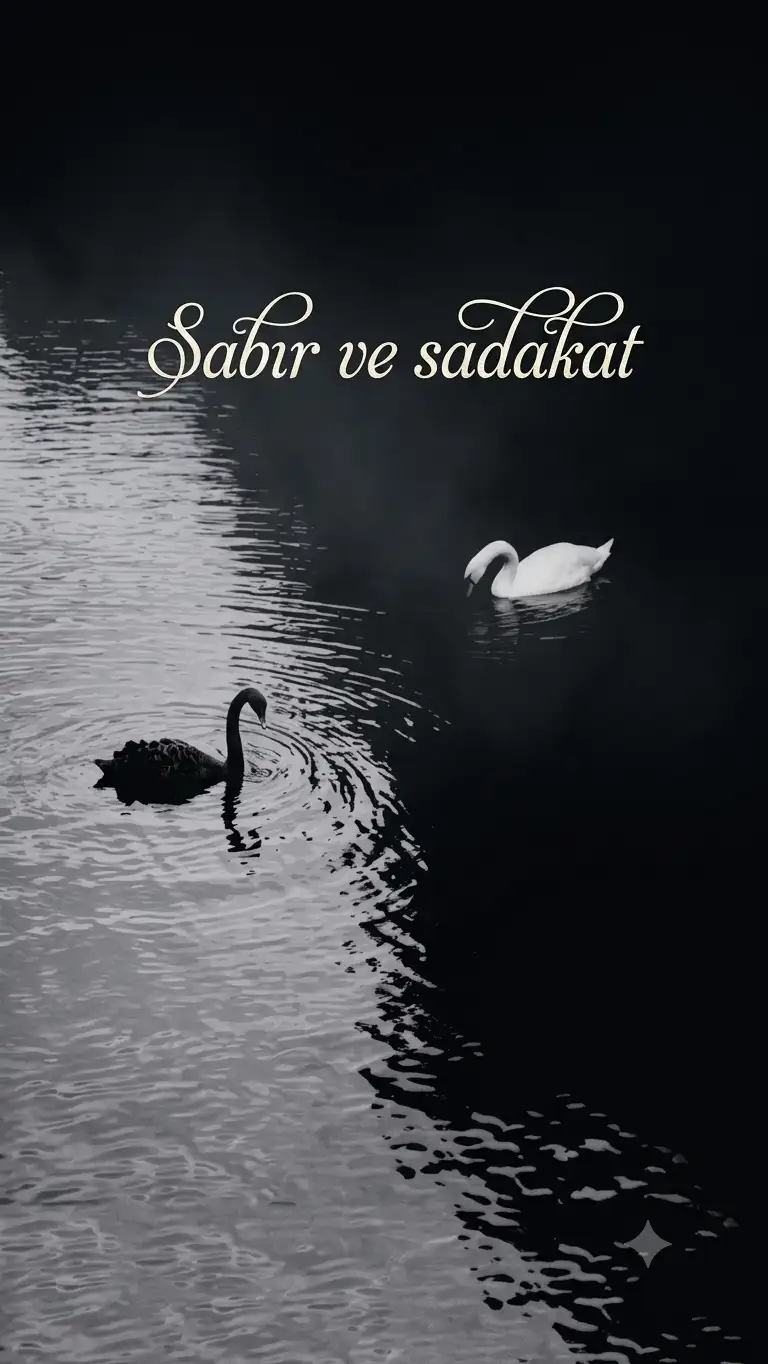 Sabır ve sadakat kitap kapağı