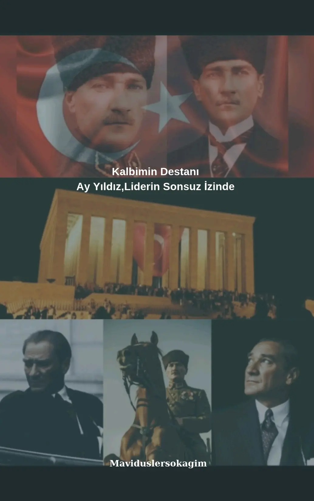 Ay Yıldızı;Liderin İzinde kitap kapağı