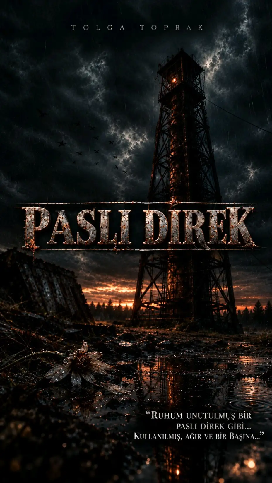 Paslı Direk kitap kapağı