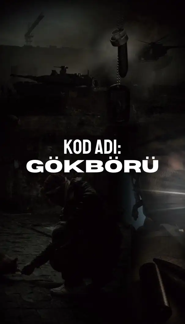 Kod Adı:GÖKBÖRÜ kitap kapağı