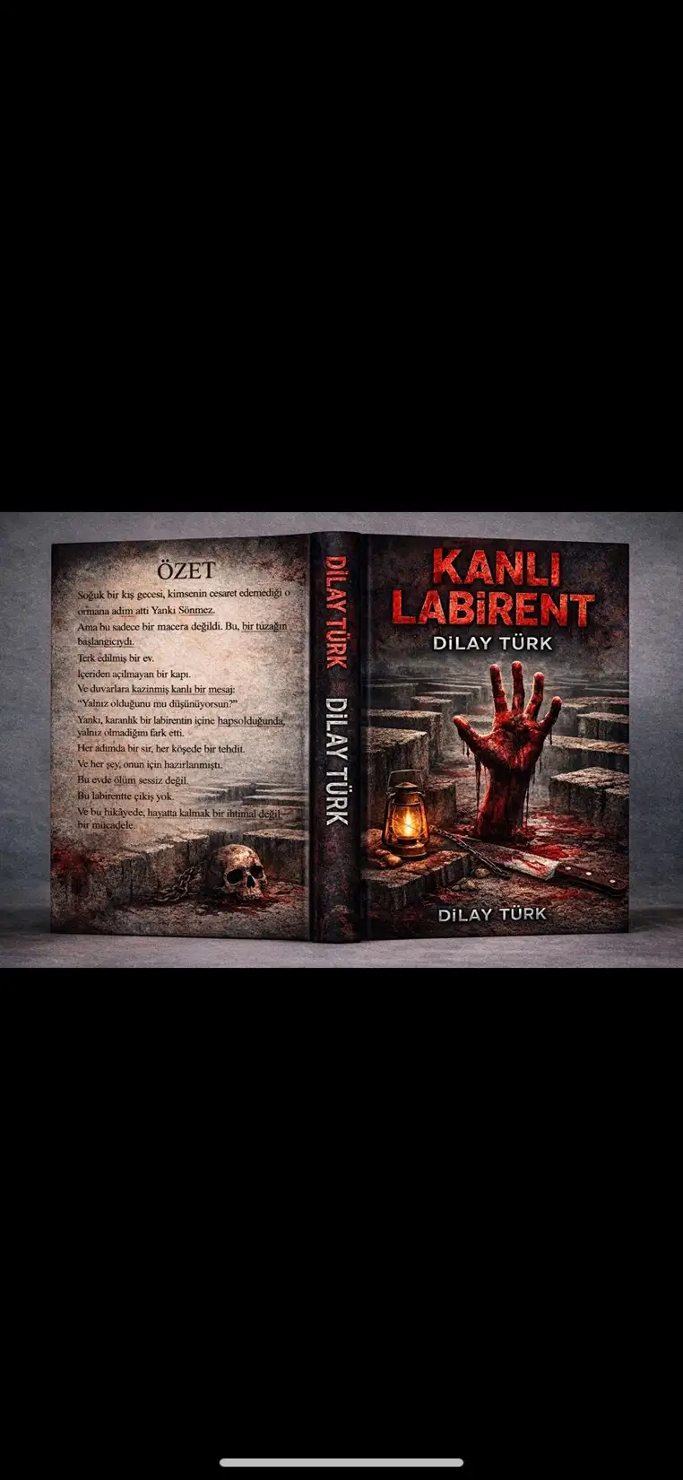 KANLI LABİRENT kitap kapağı