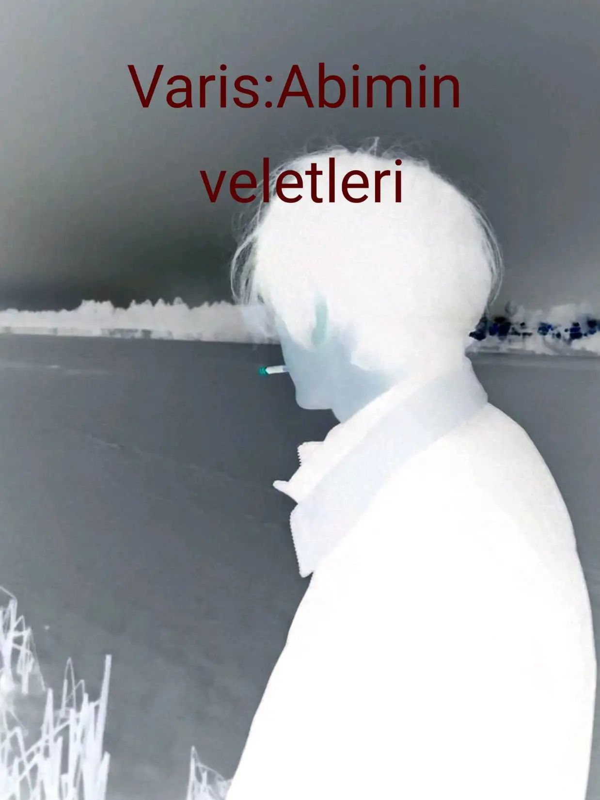 Varis:Abimin veletleri kitap kapağı