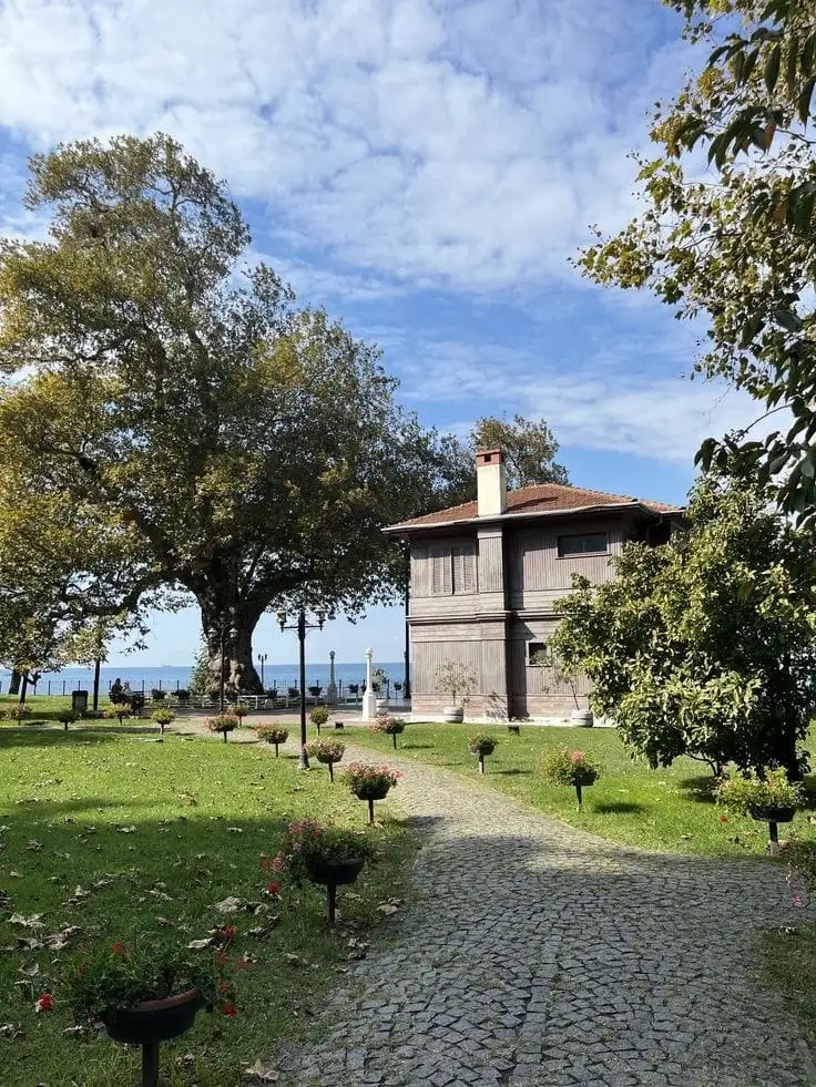 Vadideki köşk — Asena Türk