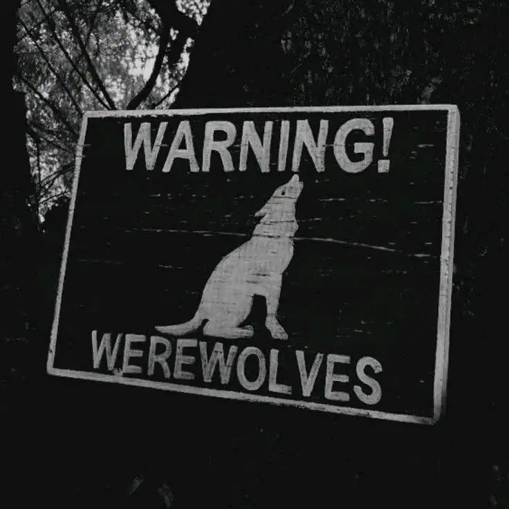 Moonfall - #teenwolf - 1- kitap kapağı