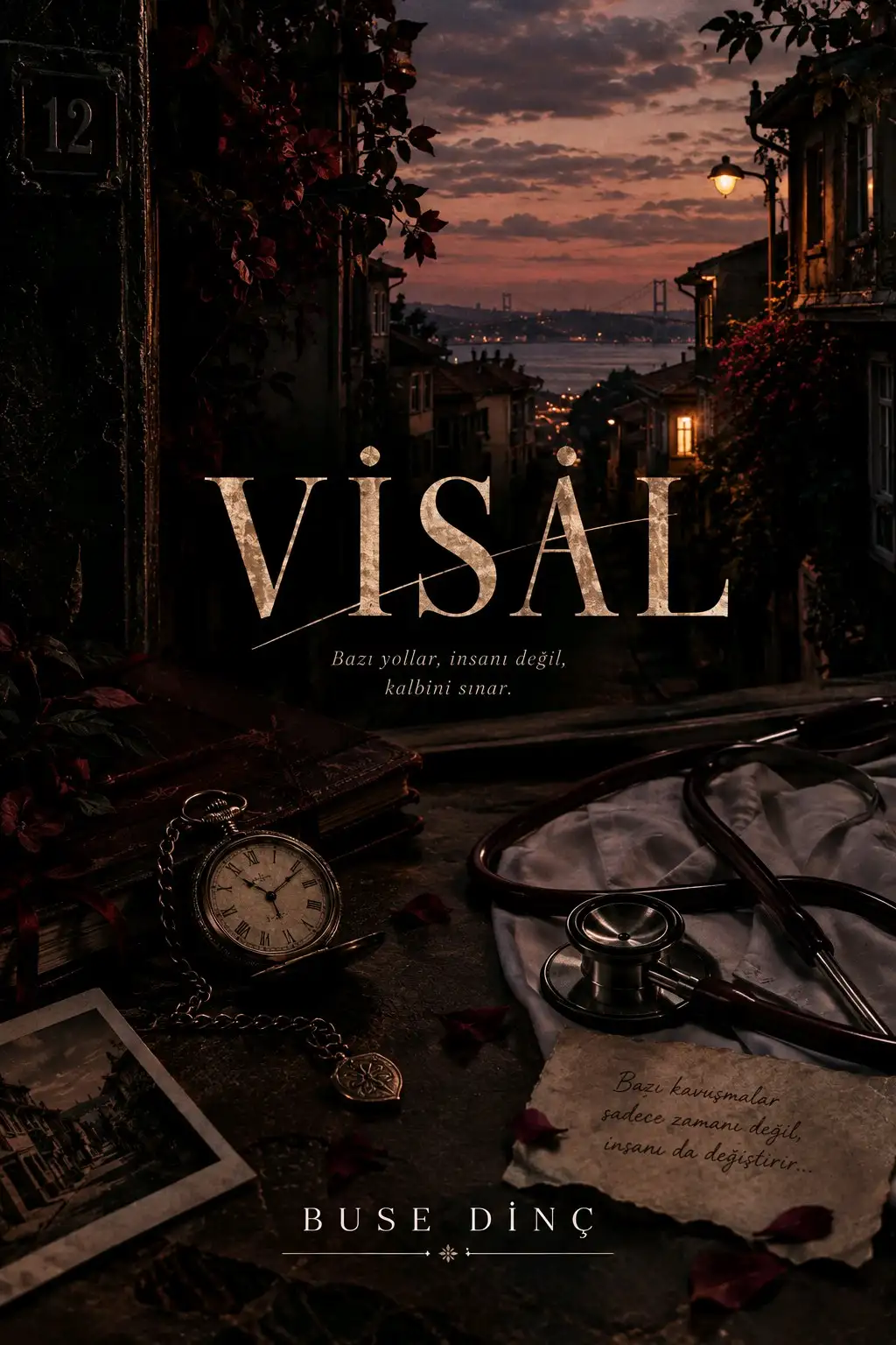 VİSAL kitap kapağı