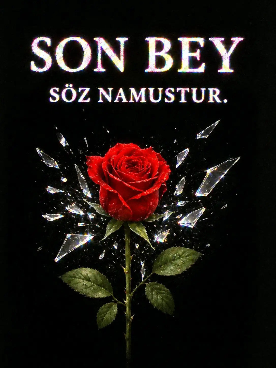 SON BEY "Söz Namustur" kitap kapağı