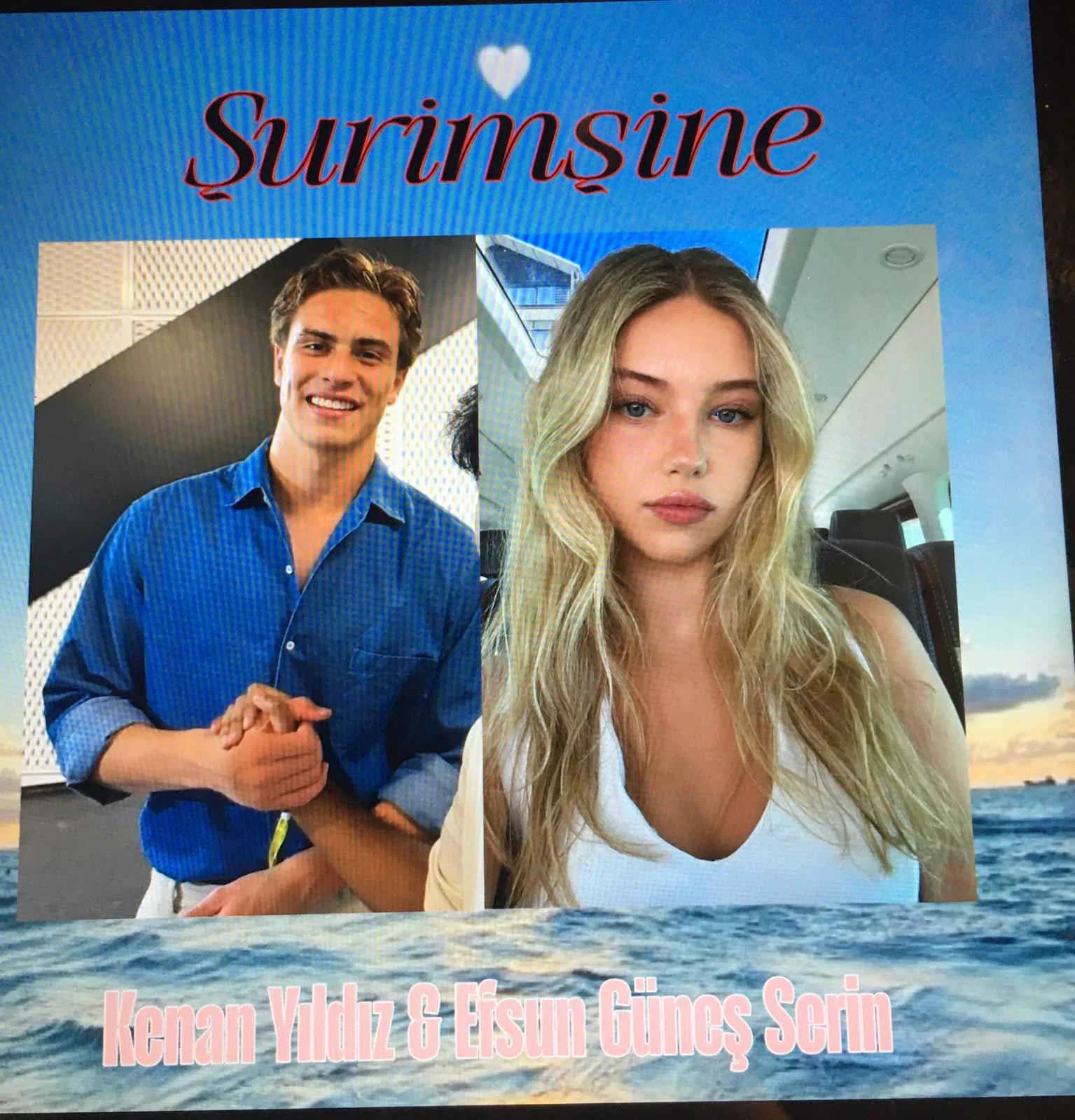 Şurimşine kitap kapağı