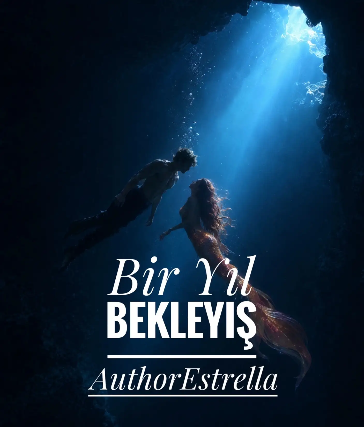 Bir Yıl Bekleyiş (tamamlandı) kitap kapağı