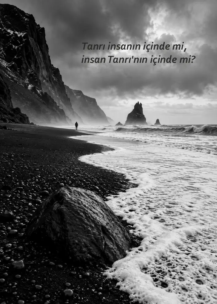 Tanrı insanın içinde mi, insan Tanrı'nın içinde mi? kitap kapağı