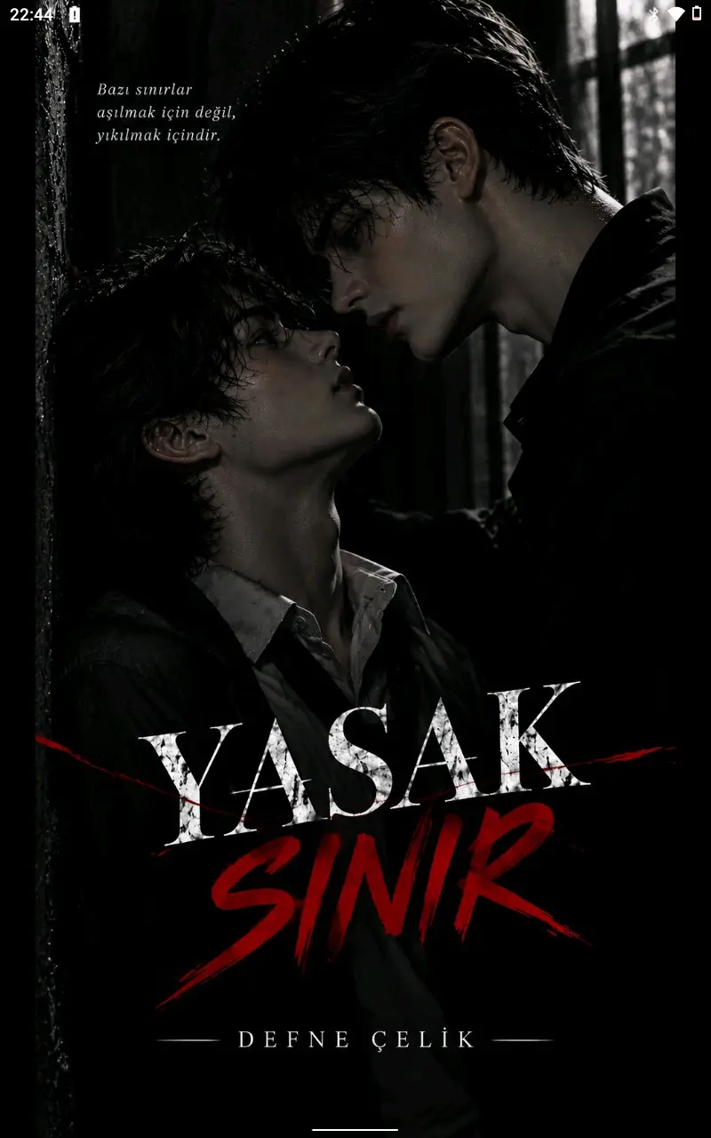 Yasak Sınır kitap kapağı