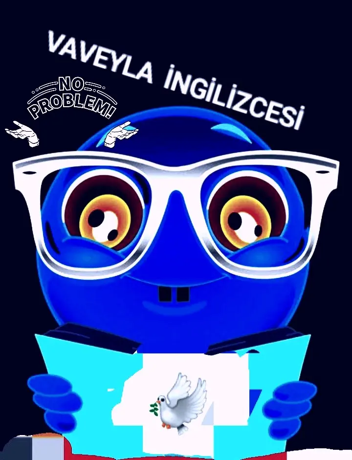 VAVEYLA İNGİLİZCESİ kitap kapağı