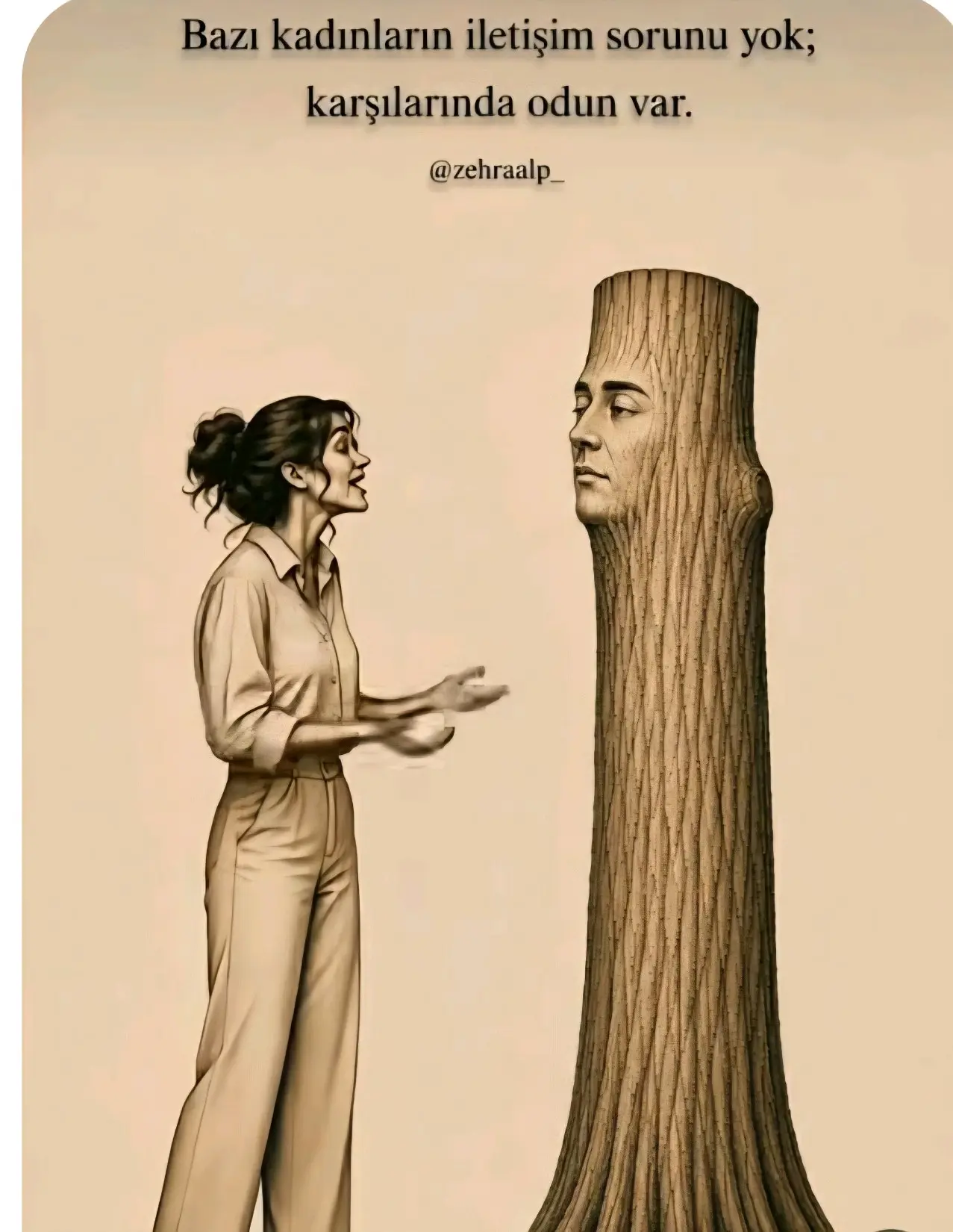insan nasıl bir varlık kitap kapağı