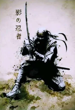 Kage Shinobi Monogotari kitap kapağı