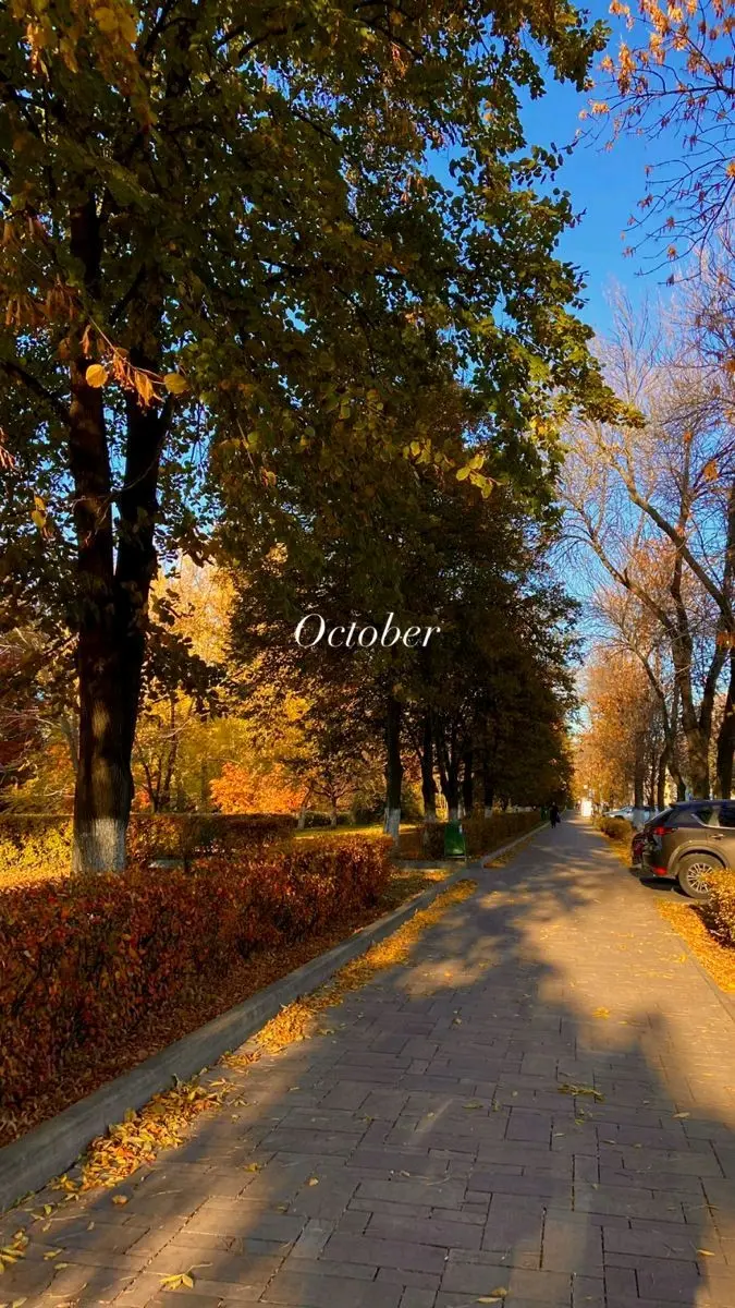 Sonbahar🍂 kitap kapağı