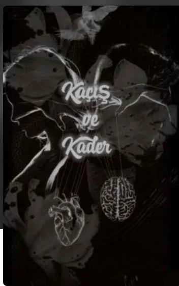 Kaçış ve Kader — 3sralll