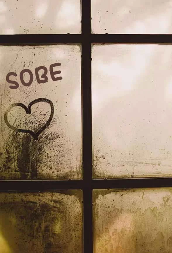 SOBE kitap kapağı