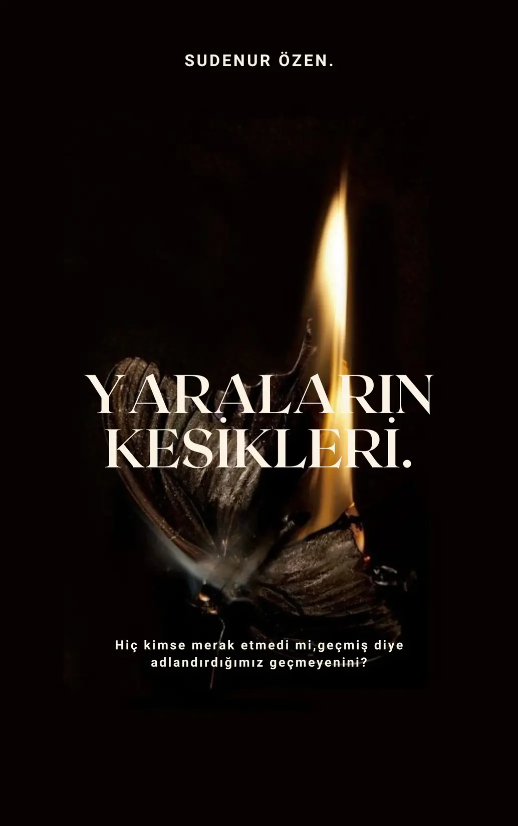 YARALARIN KESİKLERİ. kitap kapağı