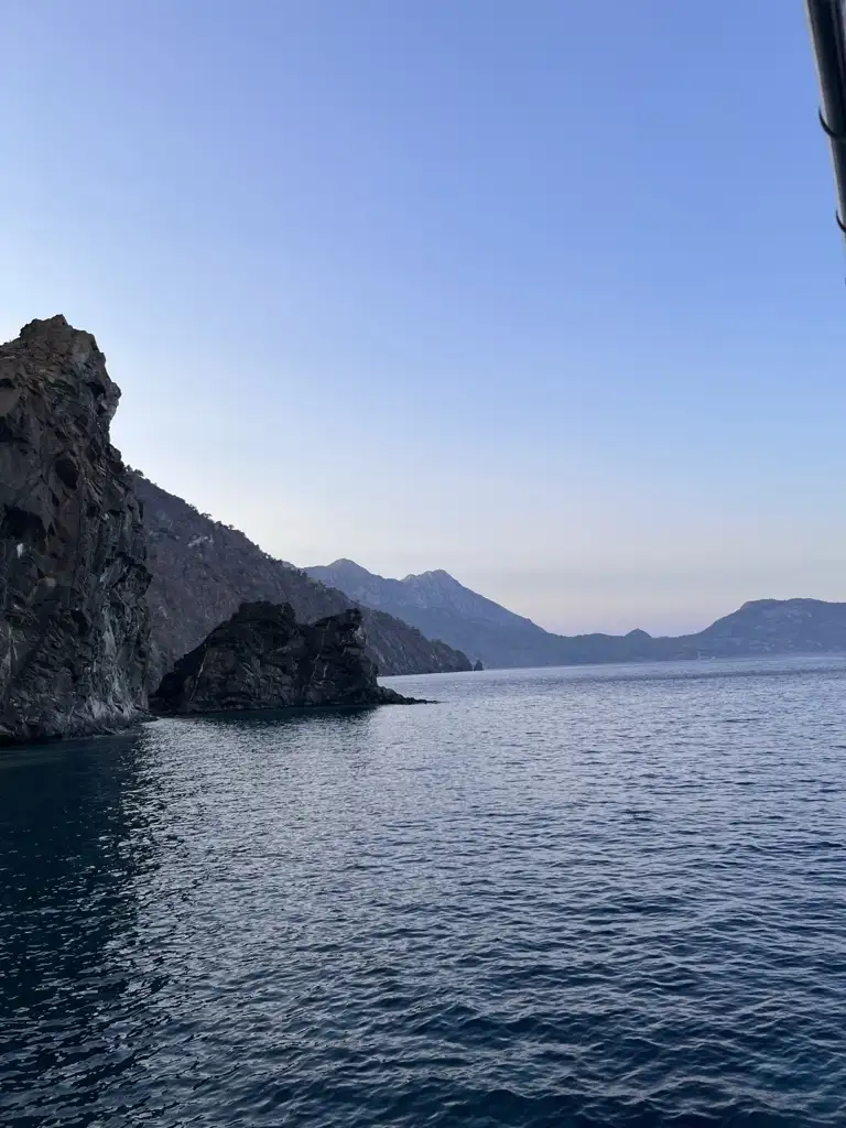 Tanem 🌾 profil fotoğrafı