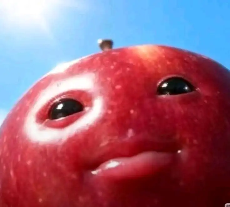 ELMA 🍏 profil fotoğrafı