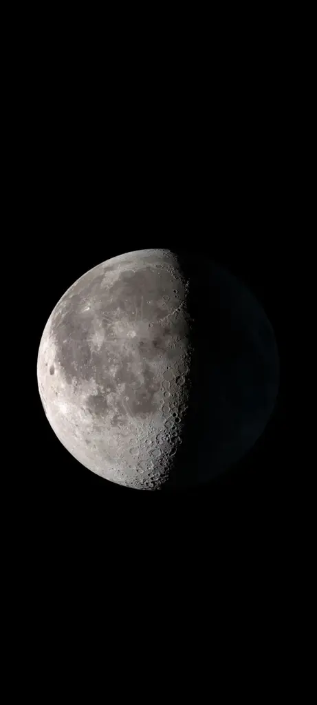 Betül Vural profil fotoğrafı