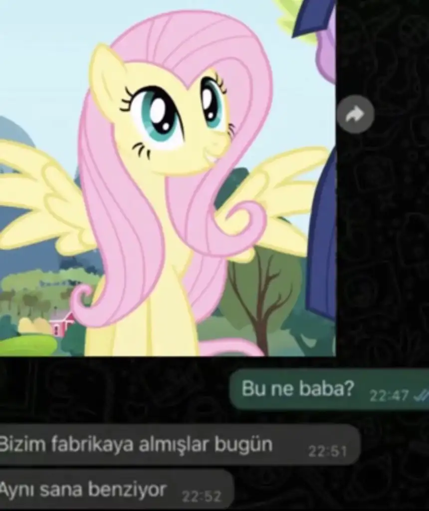 elcin btw profil fotoğrafı
