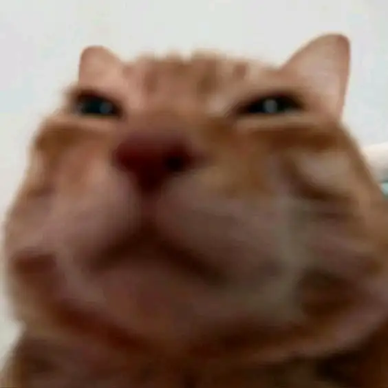 Luna profil fotoğrafı