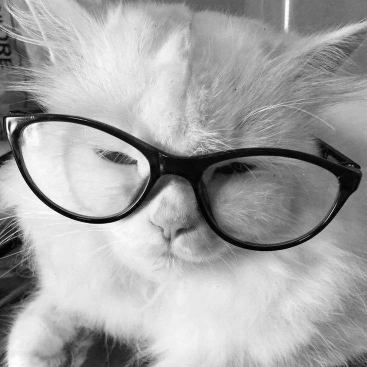 nana . profil fotoğrafı