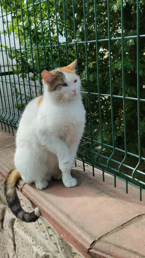 Talewind _1234 profil fotoğrafı