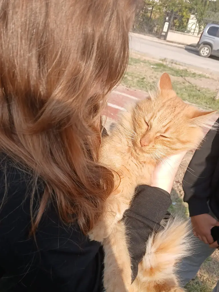 Birbireyy Aboeoeoeiieww profil fotoğrafı