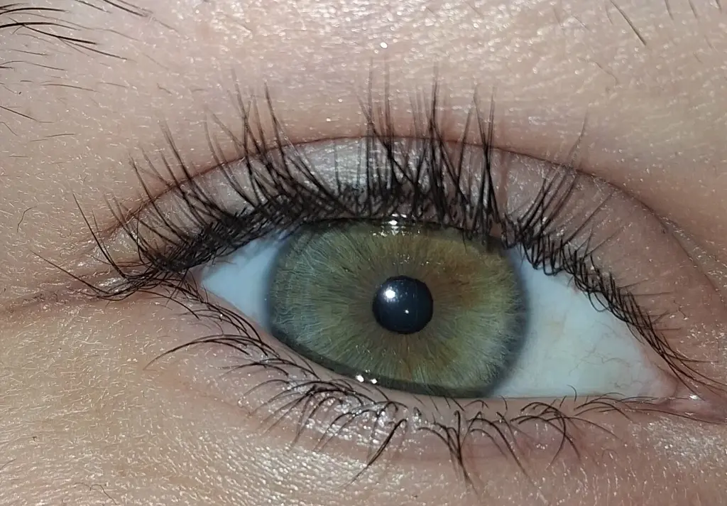 Busenur Kenar profil fotoğrafı