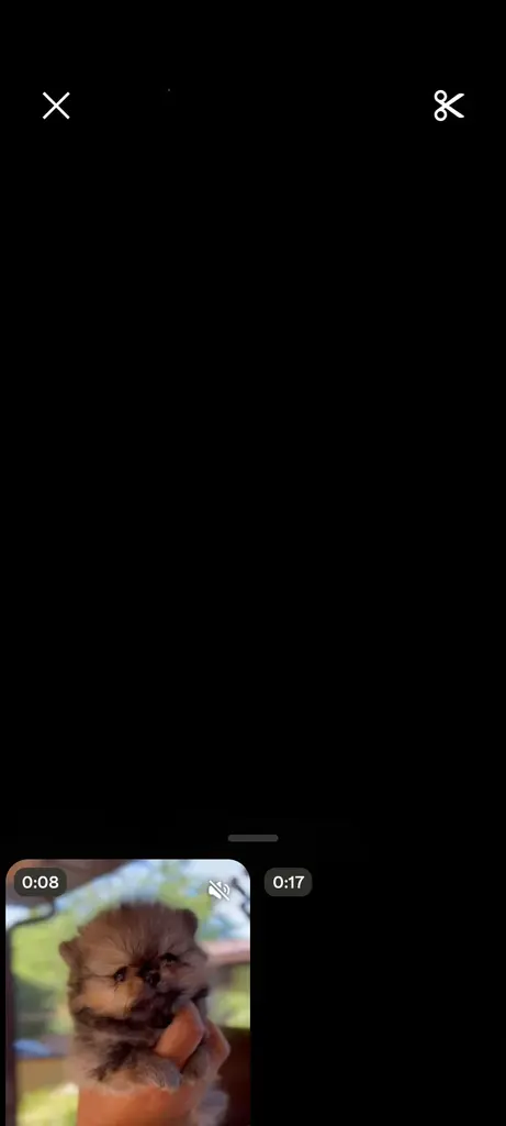 Aazem Veger profil fotoğrafı
