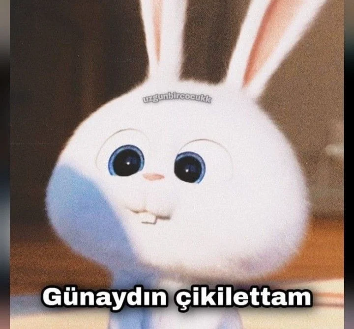 İlayda Toslak profil fotoğrafı