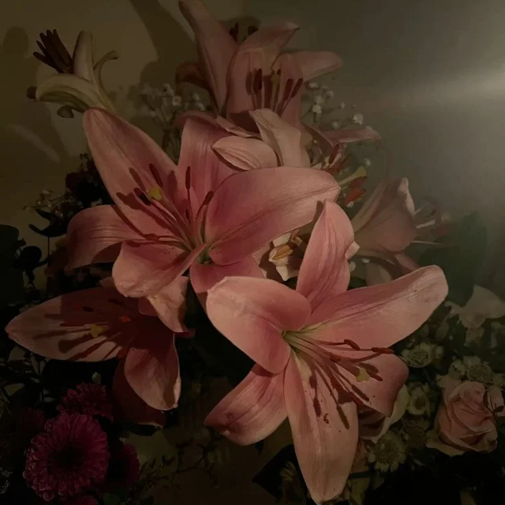 Laviva Ophelia profil fotoğrafı