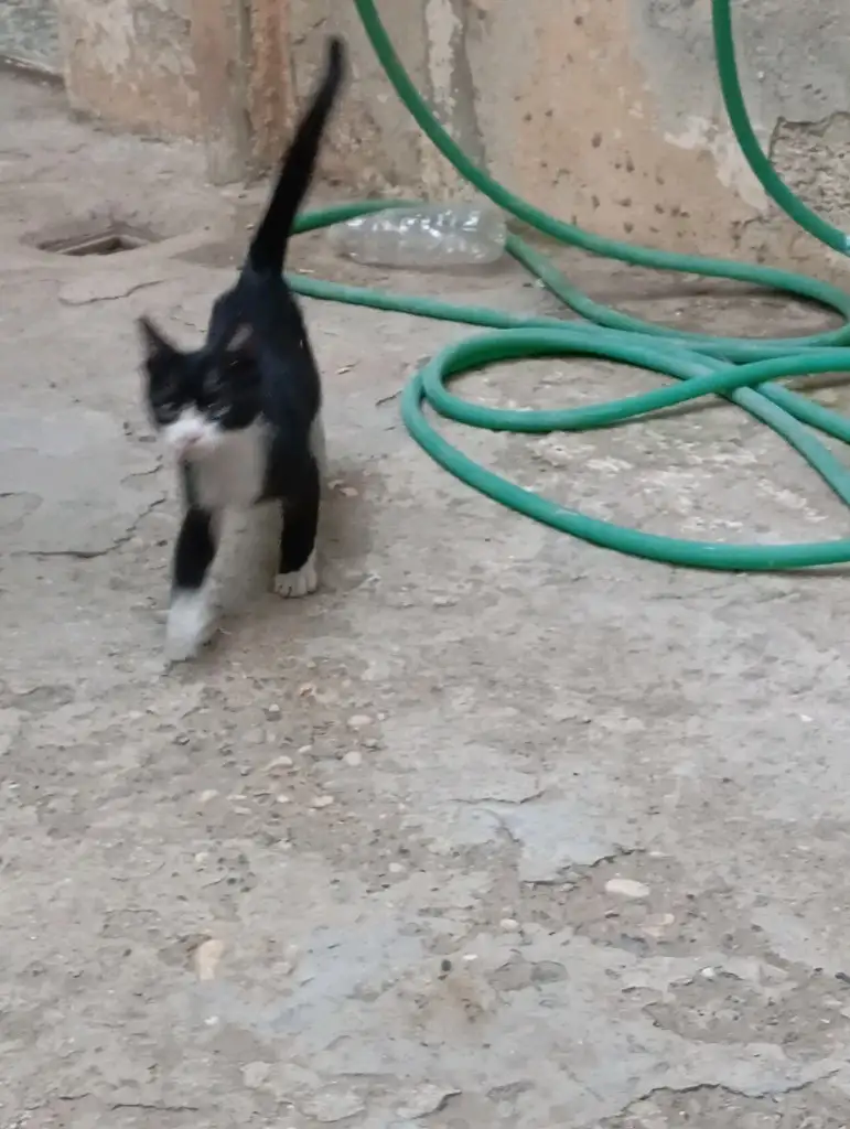 İkra Nur Nergizoğlu profil fotoğrafı