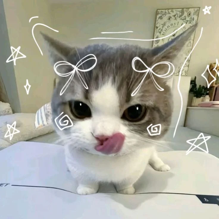 Buse Mutlu profil fotoğrafı