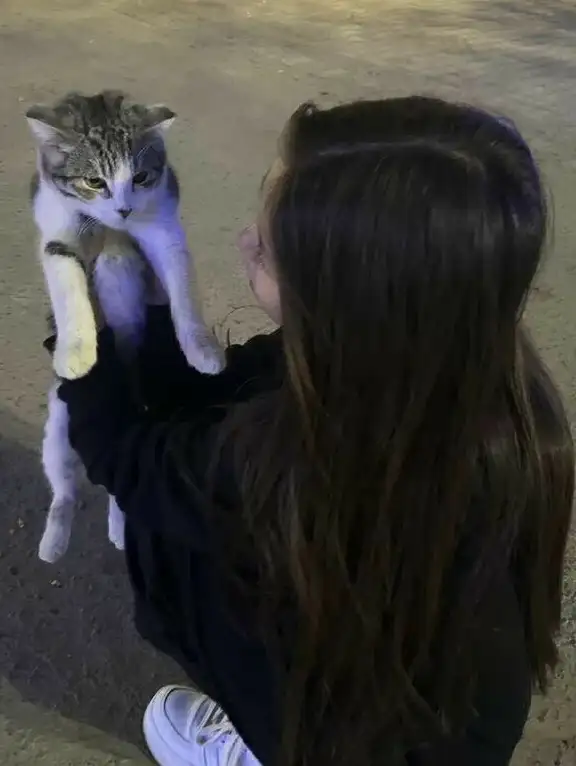 Vişneli Süt profil fotoğrafı