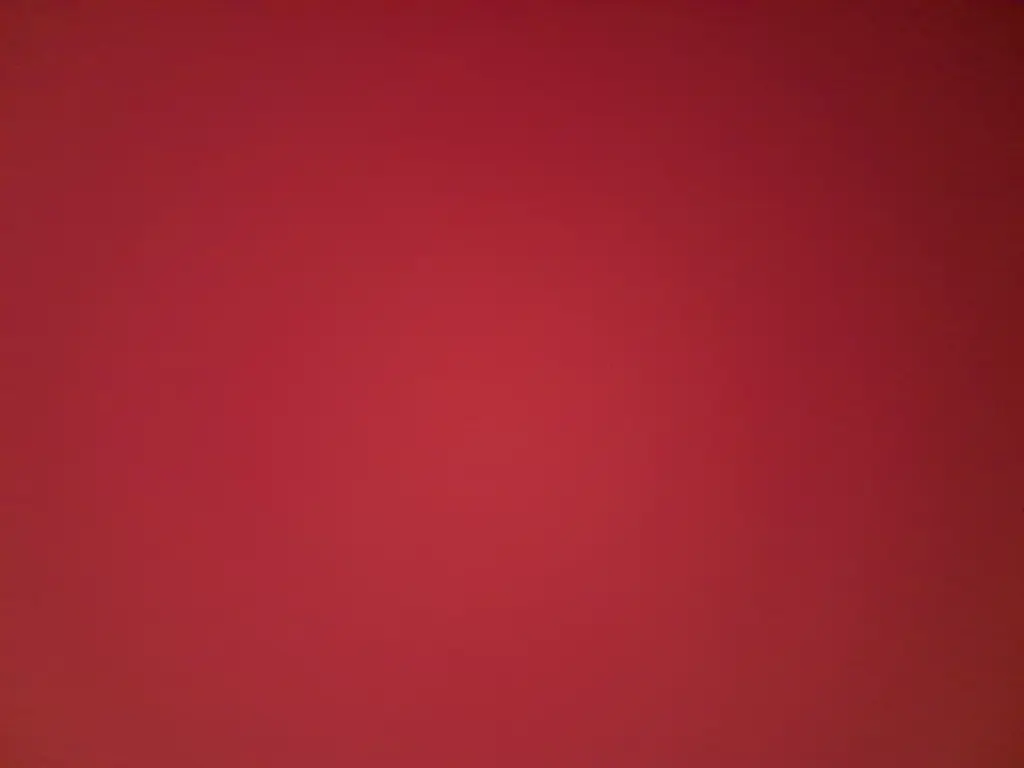 Zeynep Sare Akkaya profil fotoğrafı
