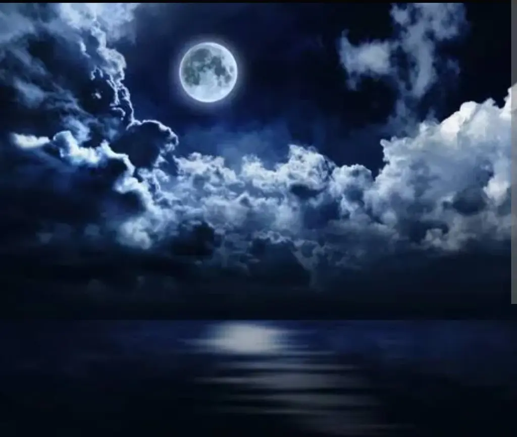 Sessiz Gece profil fotoğrafı