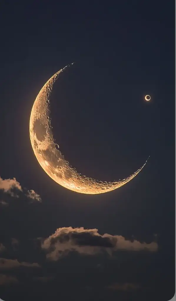 Rêverie ✨ profil fotoğrafı
