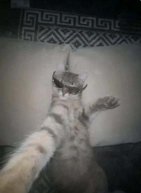 Ayvaşekerii.. .. profil fotoğrafı
