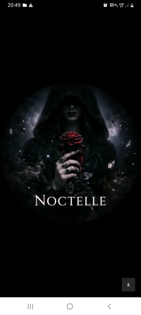 Noctelle 💫 profil fotoğrafı