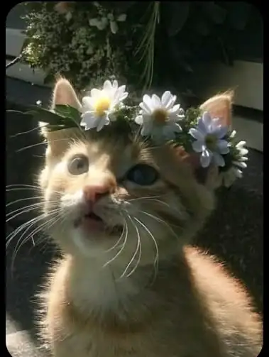 ★Sude_eee ★ profil fotoğrafı