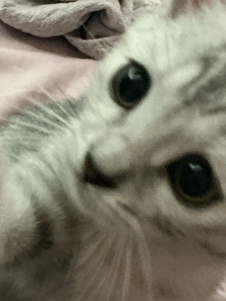 Zümra . profil fotoğrafı