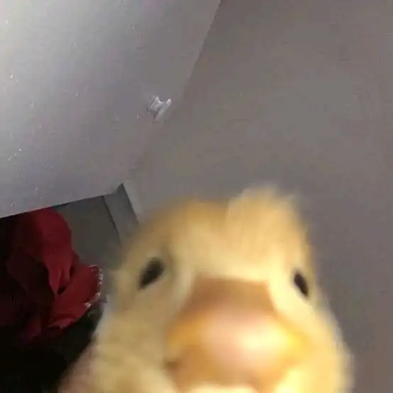 𝓜𝓲𝓷𝓪 . profil fotoğrafı