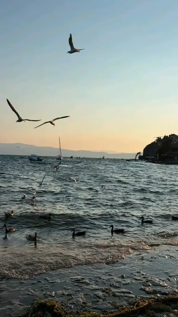 Beray Sen profil fotoğrafı