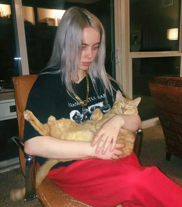 Zeynep Billieeilish profil fotoğrafı